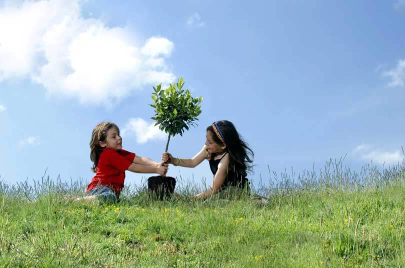 Clear day with children