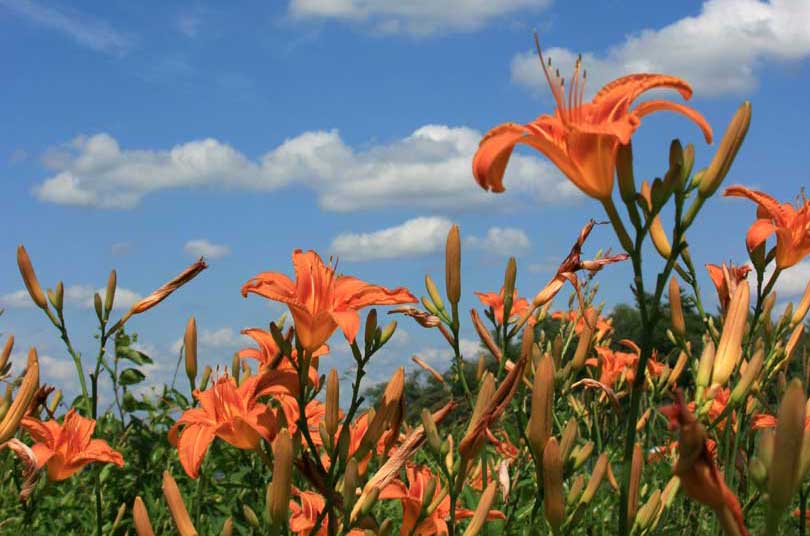 Clear day in Ontario